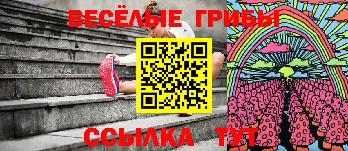 Псилоцибиновые грибы Psilocybine cubensis Зеленодольск
