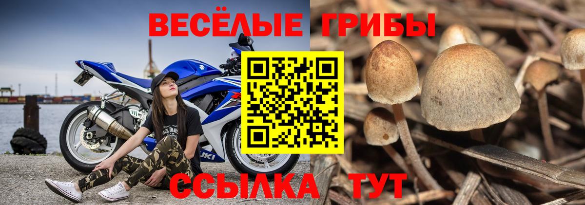 Псилоцибиновые грибы мицелий  Вход с VPN  Зеленодольск 